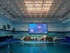 -多彩贵州城极地海洋世界