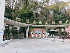 -南山植物园