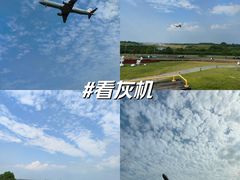 -空港花田景区