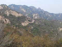-大岭沟猕猴桃谷风景区