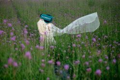 点击看大图 -帆拉斐婚纱摄影(春熙店)