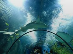 -福州罗源湾海洋世界旅游区