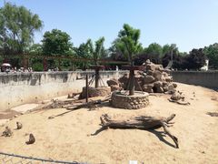 -西安秦岭野生动物园