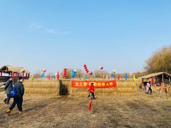 -长兴太湖图影湿地文化园
