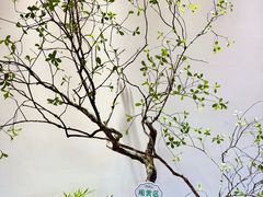 -驻海渔市(置信店)