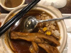 与白虎共餐-白虎自助餐厅·真老虎·景观自助餐厅(广州长隆酒店)