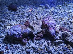 -波塞冬旅游度假区