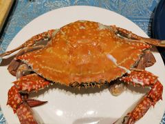 -北塘海鲜·天津菜(大光明桥旗舰店)