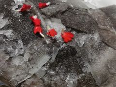-码头故事火锅(大丰店)