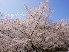 -苏州上方山国家森林公园