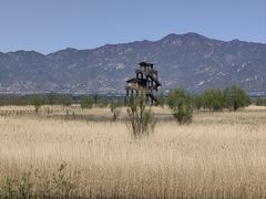 -野鸭湖国家湿地公园