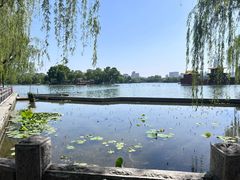 -济南大明湖景区