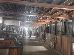 -北京群众马术培训基地