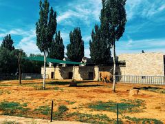 -石家庄市动物园