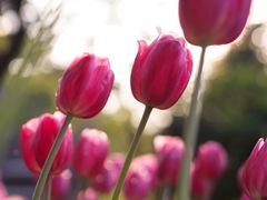 -长春公园(普阳街道)