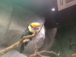 -Zoolung Zoolung动物主题公园(海信广场店)