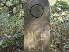 -梧桐山风景名胜区