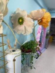 -斐尔国际皮肤管理中心