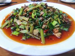 -功夫兔