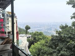 -林中乐辣子鸡(歌乐山总店)