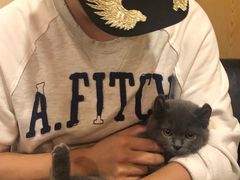 -猫友咖啡店(玉林西路店)