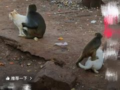 -昆明动物园