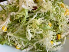 果味苦菊-春来和(汉城南路店)