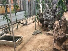 -荔城生鲜盛宴(番禺旗舰店)