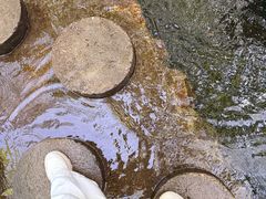 -牛背梁国家森林公园