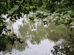 -下渚湖国家湿地公园科普馆