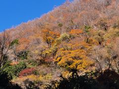 -孟屯河谷景区