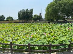 -渔岛海洋度假区