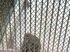 -广东茂名森林公园