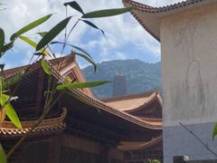 -深圳仙湖植物园