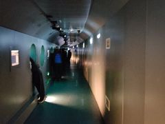 -白鹤梁水下博物馆