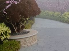 -启东恒大海上威尼斯酒店