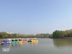 -塘沽森林公园