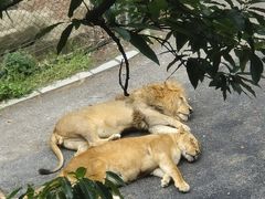 -大连森林动物园