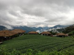 -优游吧斯邹族文化部落