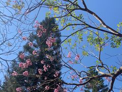 -广州市白云山风景名胜区