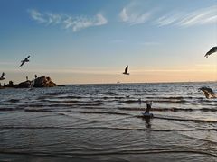 -老虎石海上公园