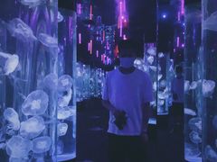 -成都浩海立方海洋公园