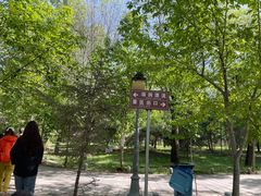 -泰安地下龙宫景区