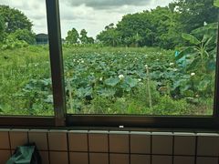 -隔田烧鸡