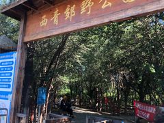 -西青郊野公园