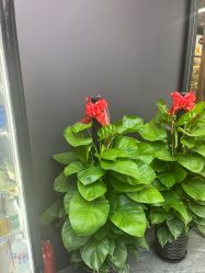 -藤野造型烫染·漂发