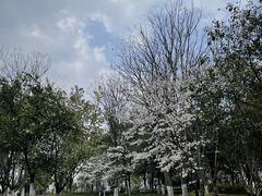 -武汉园博园(武汉自然博物馆)