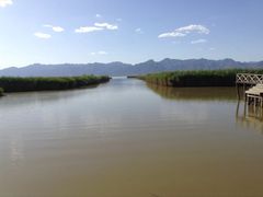 -哈素海