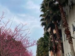 -四川大学(江安校区)
