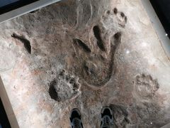 -湖南省地质博物馆